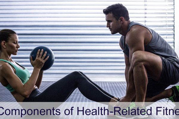 5 health-related fitness components